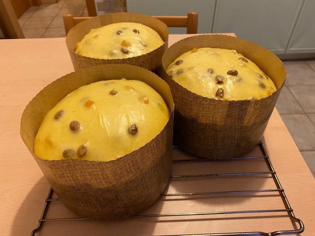 panettone